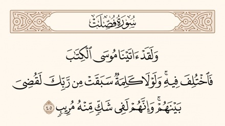 نهج الحياة – 895