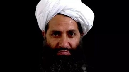  طالبان: فشار جهان بر ما بی‌فایده است