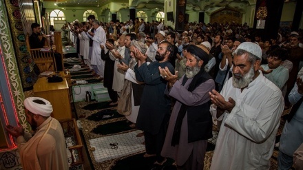 Begini Suasana Shalat Jumat Warga Syiah Afghanistan 