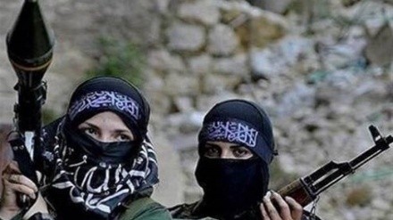 达易沙恐怖组织女头目在伊拉克尼尼微被捕