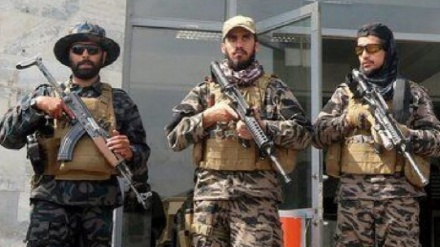 د طالبانو لخوا په افغانستان کښې فوځ د تشکيلولو احتمال