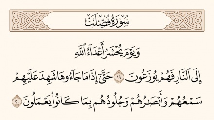 نهج الحياة – 889