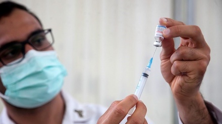 外交部助理部长：500万剂新冠疫苗将抵达伊朗