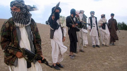 تعهد طالبان بر حفاظت از مرزهای افغانستان