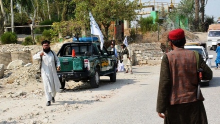 Enam Pasukan Taliban Tewas Diserang di Nangarhar