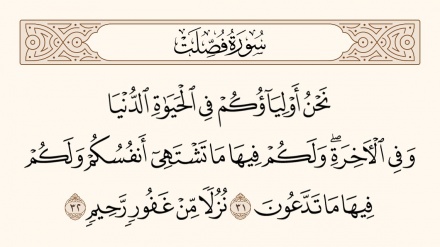 نهج الحیاة – 892