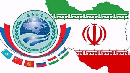 Iran’s full membership in Shanghai Cooperation Organization ‘very useful decision’: Russian envoy