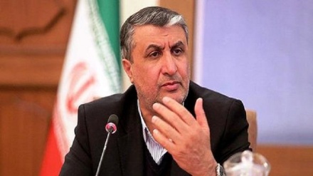 AEOI chief: IAEA refrains from fulfilling its duties toward Iran