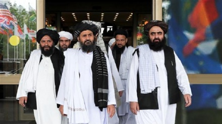  Afghans call on Taliban to establish inclusive government 