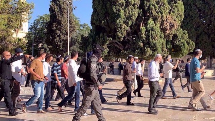 Illegal Zionist settlers step up provocative actions in al-Aqsa Mosque compound