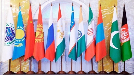 برگزاری نشست سازمان همکاری شانگهای در غیاب افغانستان