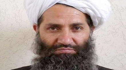 Taliban kuanzisha skuli za Jihadi na kuwafanya mashekhe wa Afghanistan wahadhiri katika vyuo vikuu