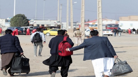 همه چیز درباره طرح سرشماری اتباع افغانستانی در ایران