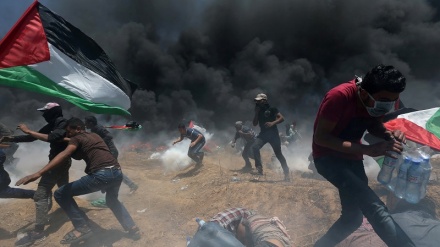 パレスチナ抵抗グループが、戦士5人の殉教についてイスラエルに警告