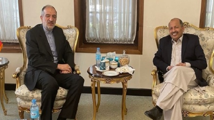 تاکید سفیران ایران و پاکستان بر تلاش‌ها برای صلح و ثبات در افغانستان 
