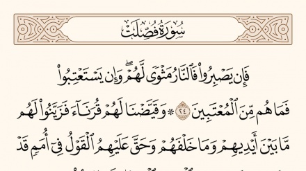 نهج الحياة – 890