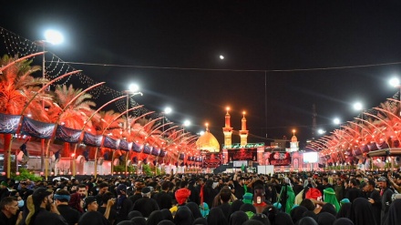 Tolışə məddoh Muhsin Şəhbazi Kərbəlo ziyorətədəy