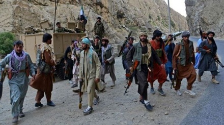 Viktima të shumta në radhët e talebanëve në luftimet me forcat Ahmad Massoud në Panjshir