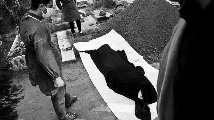 在过去24小时内，272名伊朗人染疫身亡