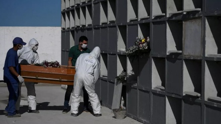 Numri i viktimave nga virusi Korona në Brazil arrin në rreth 600 mijë njerëz