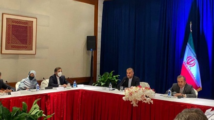 阿米尔-阿卜杜拉希扬与美国智库资深研究员会面