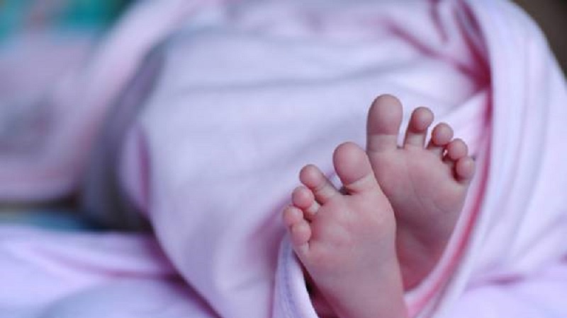 日本2022年新生儿数量首次跌破80万