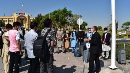 ورود گروهی از نخبگان افغانستانی به ایران برای تحصیل بورسیه 