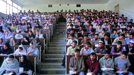 طالبان سیاست تفکیک جنسیتی در دانشگاه‌ها را اجرایی می کند