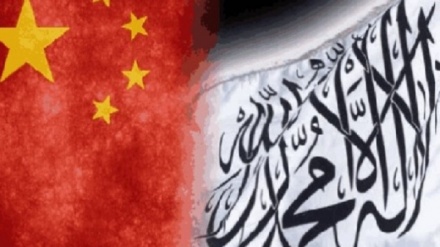 کمک 31 میلیون دلاری چین به حکومت طالبان