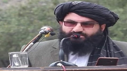 طالبان: در پنجشیر امنیت کامل برقرار است
