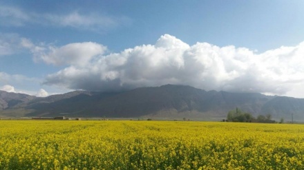 イラン南西部フーゼスターン州ザグロス山脈の絶景