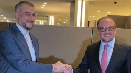 עבדאללה נועד עם שר החוץ של אוסטריה