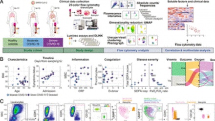 Հայտնի է կորոնավիրուսային վարակի ընթացքը կանխատեսելու միջոց