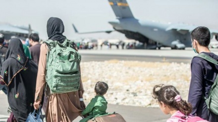 Italia all'Ue, approccio comune per profughi afghani 