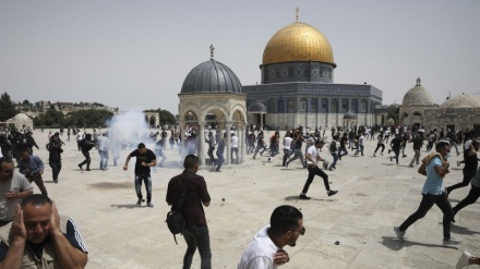 Coloni sionisti attaccano la moschea di Al-Aqsa