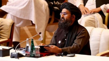 Taliban reject rumors about co-founder’s death in armed clashes