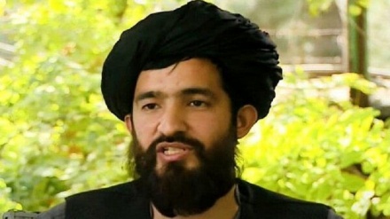  استقبال طالبان از تصمیم پوتین برای حذف این گروه از لیست سیاه