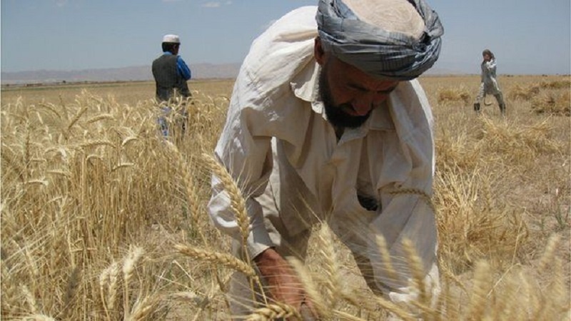 درخواست ۳۶ میلیون دلار کمک فوری برای رفع مشکلات مناطق روستایی افغانستان