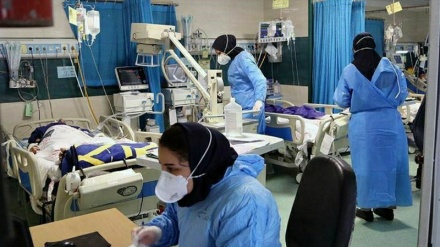 在过去24小时内，289名伊朗人染疫身亡