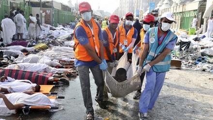 Riyadh yet to announce results of investigation into Mina crush, says Iranian official