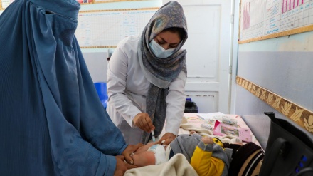 فارغ التحصیلی صدها دانشجوی دختر افغان در رشته‌های پزشکی 