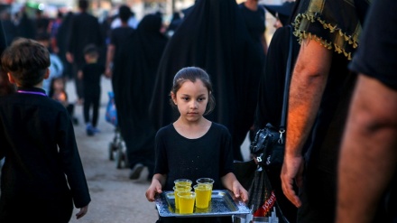 Pelayan Kecil Peziarah Arbain di Irak