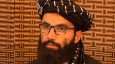 انس حقانی: حفظ حکومت طالبان، جهاد مقابل کفار است