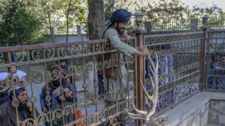 زندگی روزمره مردم افغانستان در شهر کابل