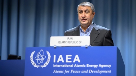 Di Wina, Iran Tuntut IAEA Tak Berpihak dalam Pengawasan Nuklir