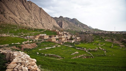 イラン西部ケルマーンシャー州リージャーブ；イチジクの生産・輸出の中心地