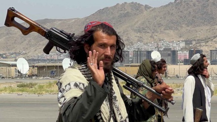 واکنش های گسترده آمریکایی ها به عملکرد دولت بایدن در خروج از افغانستان
