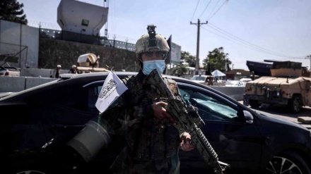  Taliban say mulling creation of regular army in Afghanistan 