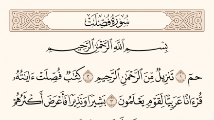 نهج الحياة – 886