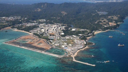 沖縄県が国に公開質問状、辺野古沖のサンゴ移植めぐり